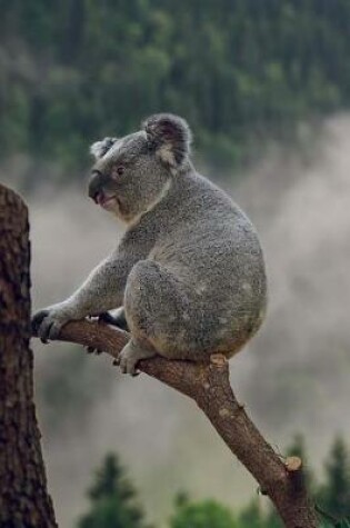 Cover of Koala Perched on a Branch Journal