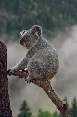 Book cover for Koala Perched on a Branch Journal