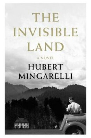 Cover of The Invisible Land