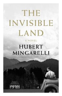 Book cover for The Invisible Land
