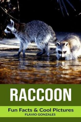 Cover of Raccoon