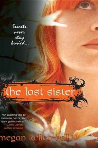 Cover of The Lost Sister