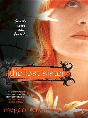 Book cover for The Lost Sister