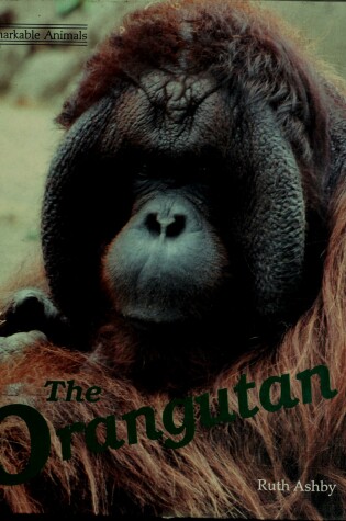 Cover of The Orangutan