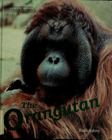 Book cover for The Orangutan