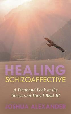 Book cover for Healing Schizoaffective