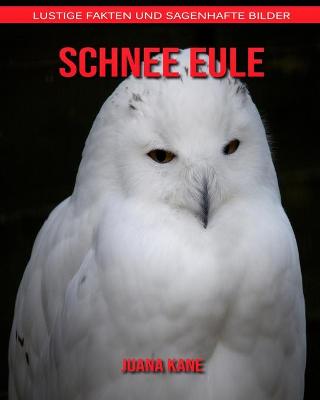 Book cover for Schnee Eule