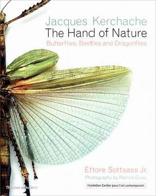 Book cover for The Hand of Nature