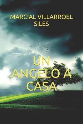 Book cover for Un Angelo a Casa