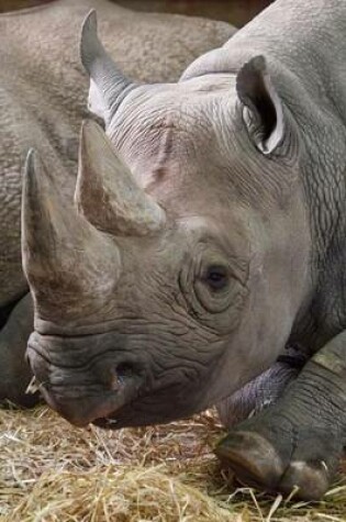 Cover of Side Profile of a Rhino, for the Love of Animals