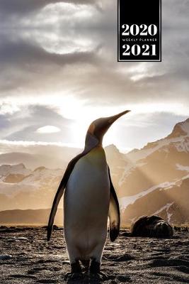 Book cover for Penguin Puffin Antarctica Seabird Week Planner Weekly Organizer Calendar 2020 / 2021 - Sunbeams