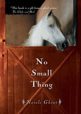 Book cover for No Small Thing