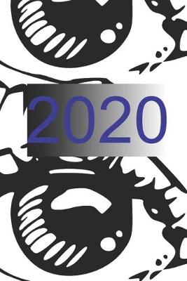 Cover of 2020