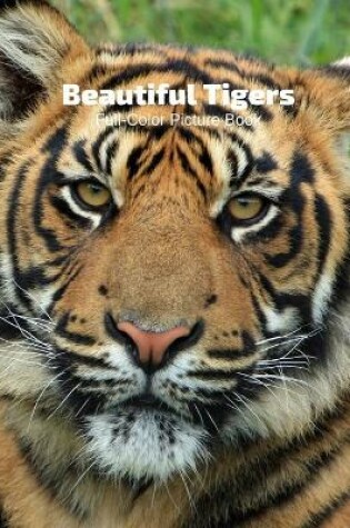 Cover of Beautiful Tigers Full-Color Picture Book