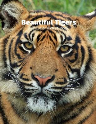 Book cover for Beautiful Tigers Full-Color Picture Book