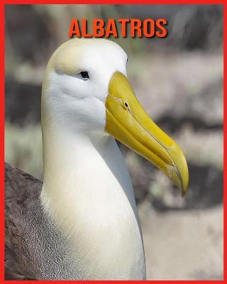 Book cover for Albatros