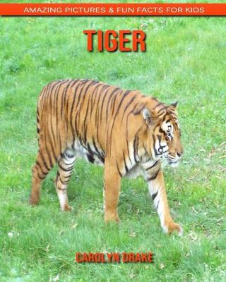 Book cover for Tiger