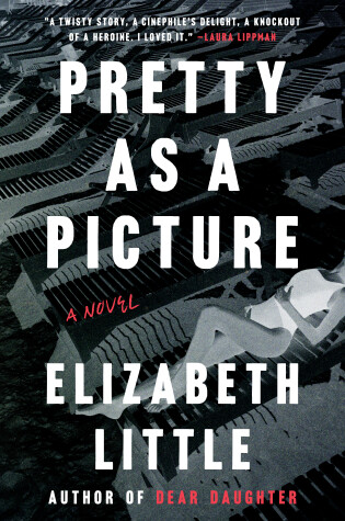 Book cover for Pretty as a Picture