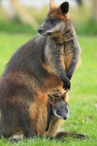 Cover of Swamp Wallaby with Joey Journal