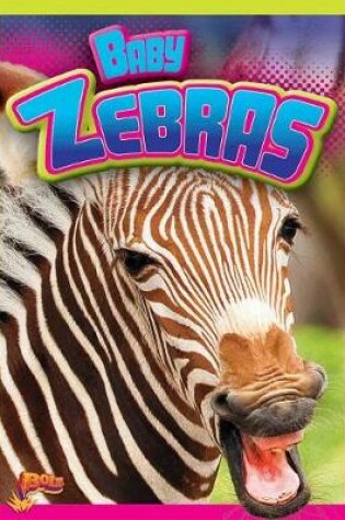 Cover of Baby Zebras
