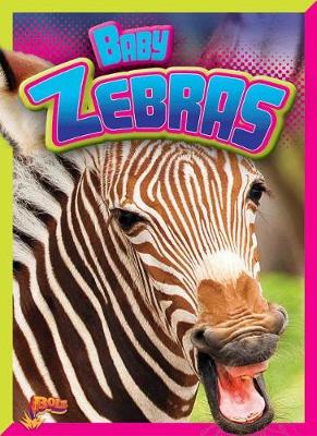 Book cover for Baby Zebras