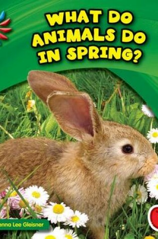 Cover of What Do Animals Do in Spring?