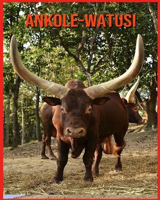 Book cover for Ankole-Watusi