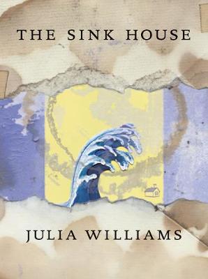 Book cover for The Sink House