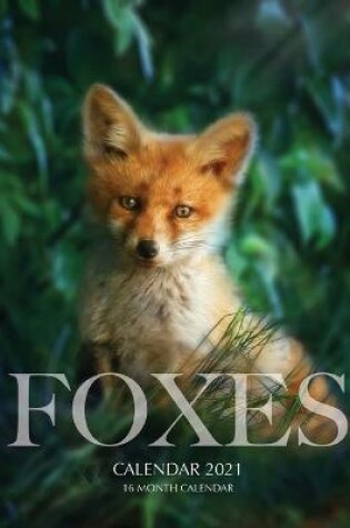 Cover of Foxes Calendar 2021