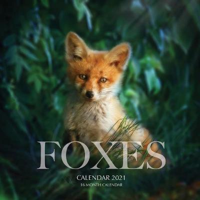 Book cover for Foxes Calendar 2021