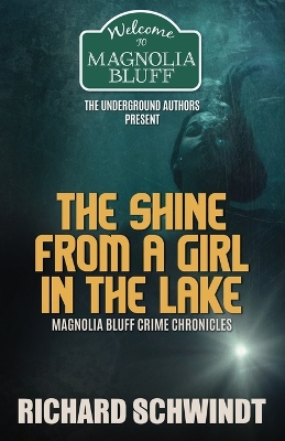 Book cover for The Shine from a Girl in the Lake