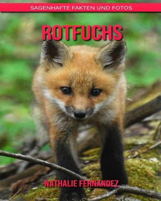 Book cover for Rotfuchs