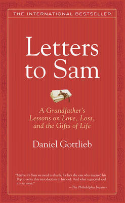 Book cover for Letters to Sam