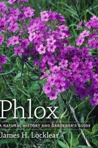 Cover of Phlox