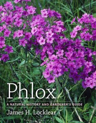 Book cover for Phlox