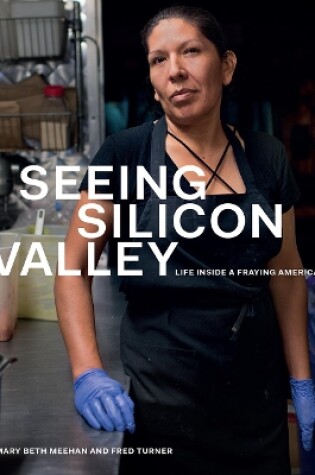 Cover of Seeing Silicon Valley