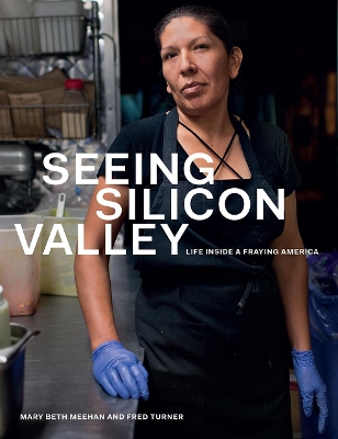 Book cover for Seeing Silicon Valley