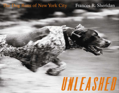 Book cover for Unleashed