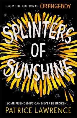 Book cover for Splinters of Sunshine