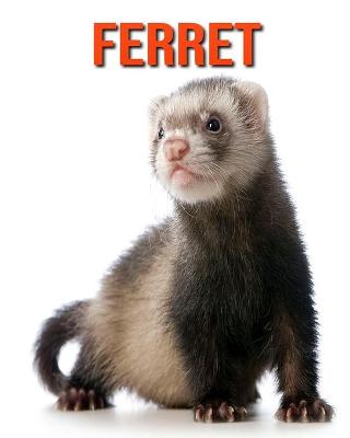 Book cover for Ferret