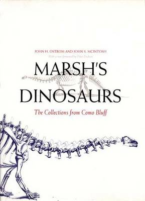 Book cover for Marsh's Dinosaurs