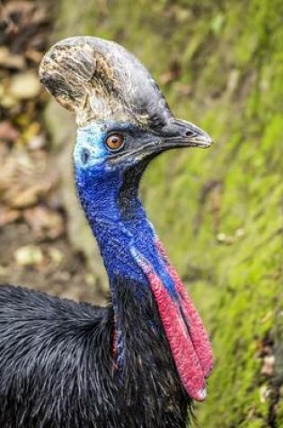 Cover of A Profile of a Bright and Colorful Cassowary