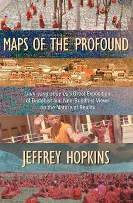 Book cover for Maps of the Profound