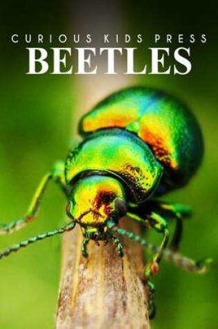Cover of Beetles - Curious Kids Press