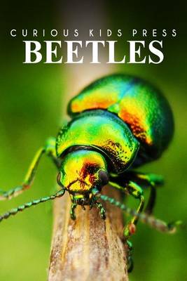 Book cover for Beetles - Curious Kids Press