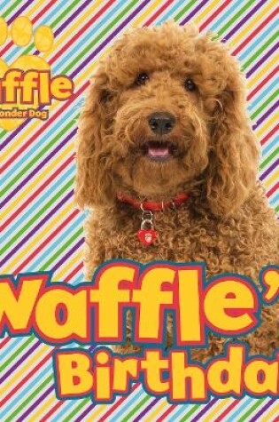 Cover of Waffle's Birthday