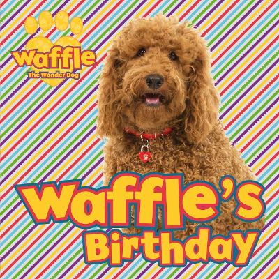 Book cover for Waffle's Birthday