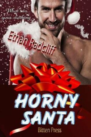 Cover of Horny Santa
