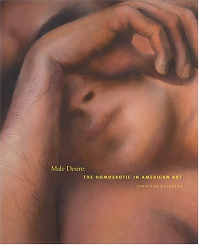 Book cover for Male Desire