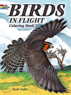 Book cover for Birds in Flight Coloring Book